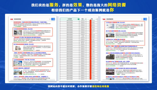 專業(yè)SEO優(yōu)化推廣軟件服務機構的技術推廣與軟件開發(fā)策略