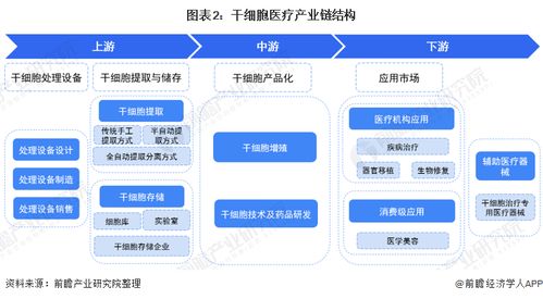 預見2022 中國干細胞醫(yī)療產(chǎn)業(yè)全景圖譜與發(fā)展趨勢分析